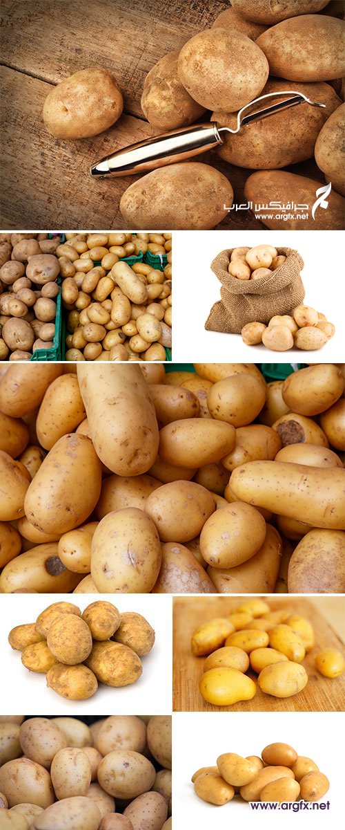 Stock Image - Group of potatoes