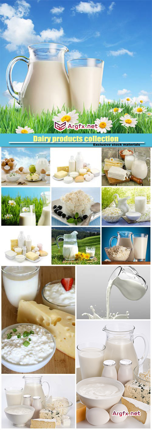 Dairy products collection
