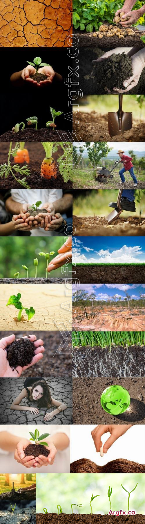 Soil land agriculture plant sprout shoot 25 HQ Jpeg