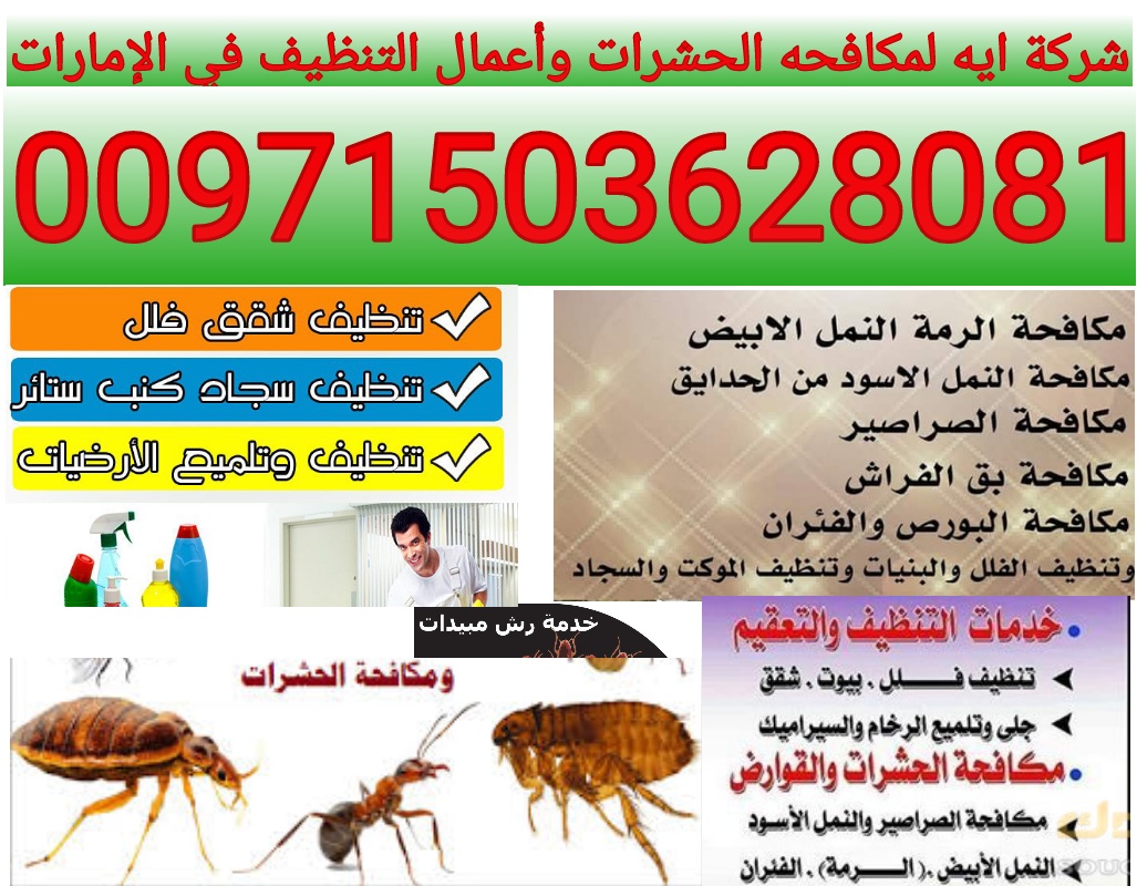 شركة ايه لمكافحه الحشرات والقوارض في دبي الشارقه عجمان 00971503628081 P_109524yz93
