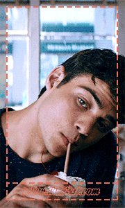 To All The Boys I Have Loved Before | GIF Icons | Noah Centineo | The Hunters P_9689q1vu7
